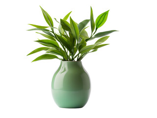 Elegant Vase with Lush Green Plant, isolated on a transparent or white background