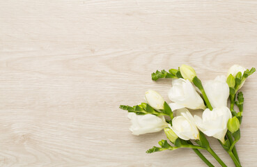 White fresia flower on wooden background, top view
