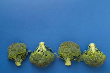Flat lay with fresh green broccoli on color background