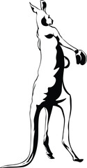 Cartoon Black and White Isolated Illustration Vector Of A Kangaroo Standing on Hind Legs Wearing Boxing Gloves