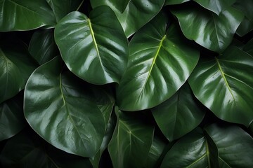 close up of leaves. Green leaves background