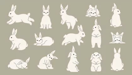 Foto op Aluminium Cute rabbit collection. Doodle hare icons with different expressions, running wild animals in environment. Vector colorful doodle collection © Tartila