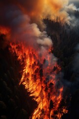 Fototapeta premium dramatic massive forest fire