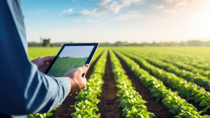 Farmer holding a tablet with a blank screen in front of a field of green crops - obrazy, fototapety, plakaty