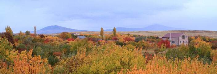 Panoramic view of bright yellow colored autumn trees in Armenian village