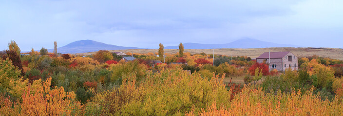 Obraz premium Panoramic view of bright yellow colored autumn trees in Armenian village