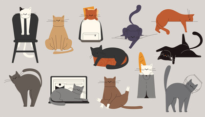 Cats behavior. Cartoon cute kitten playing with toys, funny cats in various poses and activities. Vector cute kitten characters isolated set © Tartila