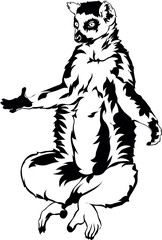 Cartoon Black and White Isolated Illustration Vector Of A Lemur Monkey Sitting with Arms Out