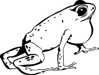 Cartoon Black and White Isolated Illustration Vector Of A Frog