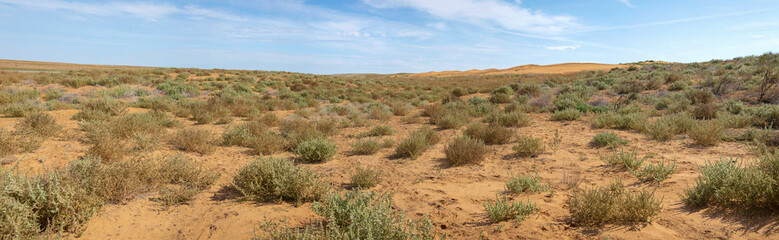 Panorama of the semi-desert "Black Lands". Republic of Kalmykia, Russia