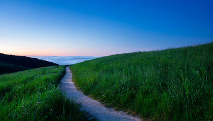 Picturesque winding path through a green grass field in at sunset