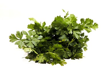 Bunch of green fresh parsley on a white background.
