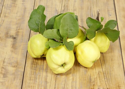 Several quince fruits with castings on a wooden background.