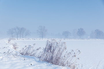 Krajobraz zimowy, mglisty świt (Winter landscape, foggy dawn)	 - obrazy, fototapety, plakaty