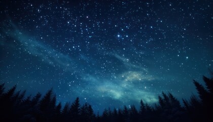 Night Sky Filled with Stars and Trees