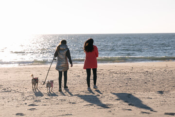 Lesbian couple with dogs walking on beach