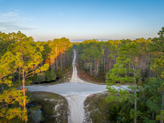 Obraz premium road crossing at sunrise - Apalachicola National Forest in Florida, aerial view