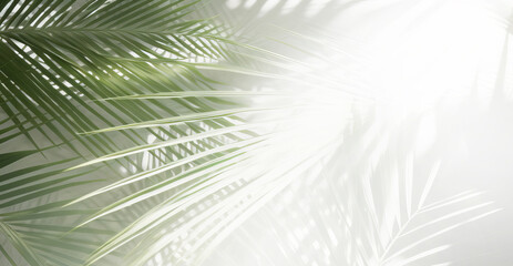 Delicate background with tropical leaves and their shadow.