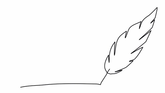 Feather one line drawing animation, video clip with alpha channel.