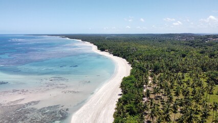 The coast of Morro de Sao Paolo, incredible natural pools, palm trees and golden sand. Heavenly place