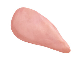 Hähnchenbrustfilet und Hintergrund transparent PNG cut out  Chicken Breast