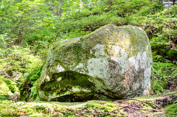 Big stone at the forest. - 692690143