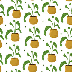 Seamless pattern of indoor plants on white background. Green and brown color.Plants in pots.