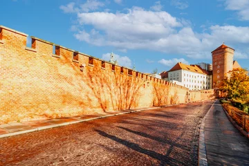 Crédence de cuisine en verre imprimé Cracovie Wawel castle famous landmark in Krakow Poland. Landscape on coast river Wis