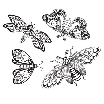 Set of beautiful butterflies and other insects. Dragonfly insect. Decorative stylized insect drawn by hand in black. wings Beetle. Vector illustration on a white background.