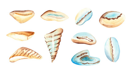 Set of small sea shells and stones, sea pebbles. Marine design elements in pale blue yellow colors. Watercolor hand drawn illustration on white background.