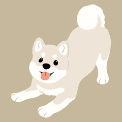 Simple and cute flat colored illustration of white Shiba Inu being playful