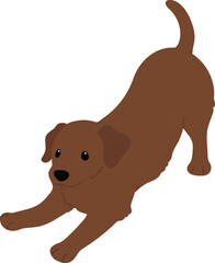 Simple and cute flat colored illustration of brown Labrador Retriever being playful