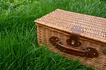 Picnic in nature. Picnic basket on the grass.