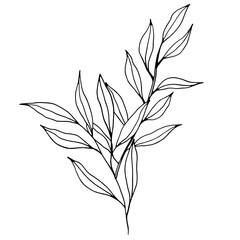 Obraz premium Vector branch with leaves. Elegant illustration for wedding cards, polygraphy, logo, tattoo. Hand drawing monochrome botanical art for backgrounds. Temlate with graphic branch art.