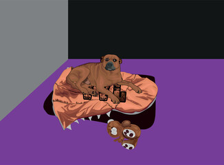 Dog illustration looking towards camera and sitting on cushion and teddy bear lying on purple base