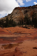 checkerboard mesa rising over wet red rocks, zion national park