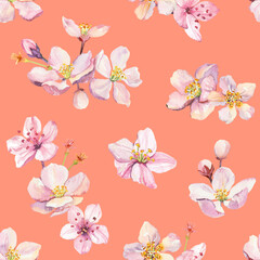 Watercolor hand painted sakura cherry blossom flowers illustration seamless pattern - spring wrapping paper, fabrics and surface design, wallpaper