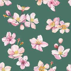 Watercolor hand painted sakura cherry blossom flowers illustration seamless pattern - spring wrapping paper, fabrics and surface design, wallpaper