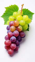 Fototapeta premium white background illustration portrait of grapes