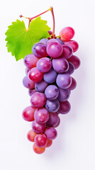 Fototapeta premium white background illustration portrait of grapes