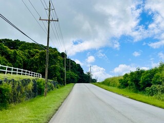 Fototapeta na wymiar Scenic View of Ronald Mapp Highway in Barbados