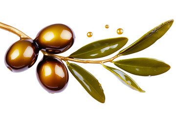 Olives with leaves in oil.