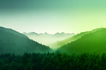 Gordijnen Misty green mountain landscape at dawn © youriy