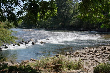 Obraz premium River in the Parque Natural El Gallineral, San Gil, Colombia