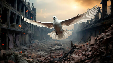 Stop war and military attack. White dove of peace. Bird symbol of peace and freedom. Destroyed city background.