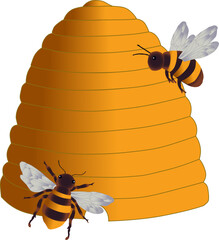 Bees and Beehive