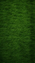 green Grass texture background,Soccer field in football stadium background,Luxury Wallpaper for Phone Covers and Book Covers.	