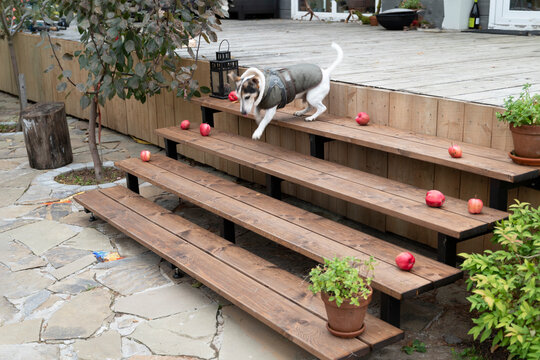 Wooden staircase up and old limestone path