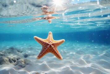 Fototapeta na wymiar photo by jason dunn of a starfish on the beach under water