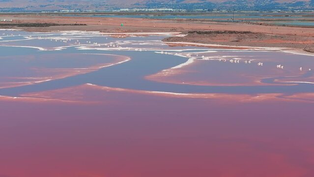 Pink salt ponds at Alviso Marina County Park, gateway to the Don Edwards San Francisco Bay National Wildlife Refuge. Aerial view of the pink lake.